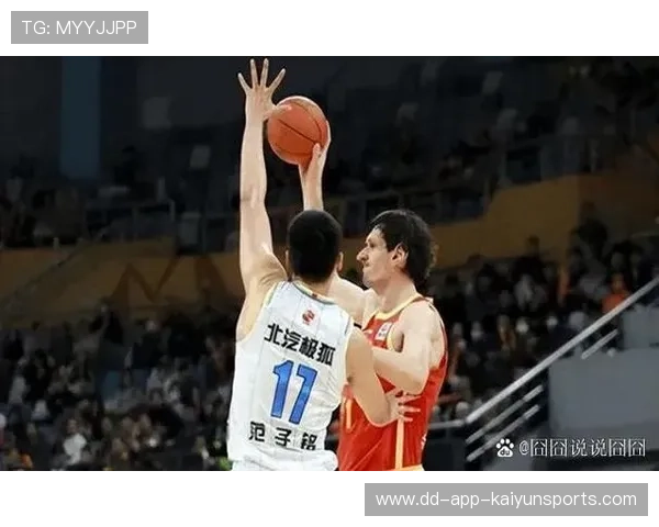 奋斗让中国篮球更加闪亮，奋斗篮球作文