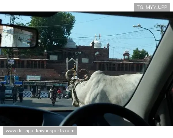 印度投球火力惊人,连续零封对手,印度踢球 印度投球火力惊人,连续零封对手,印度踢球